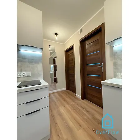 Lion King 10 Min To Old Town Gdansk,pkp & Shopping Mall ホームステイ