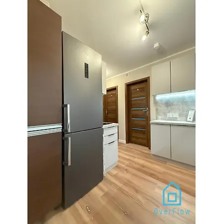 Lion King 10 Min To Old Town Gdansk,pkp & Shopping Mall Проживание в семье *