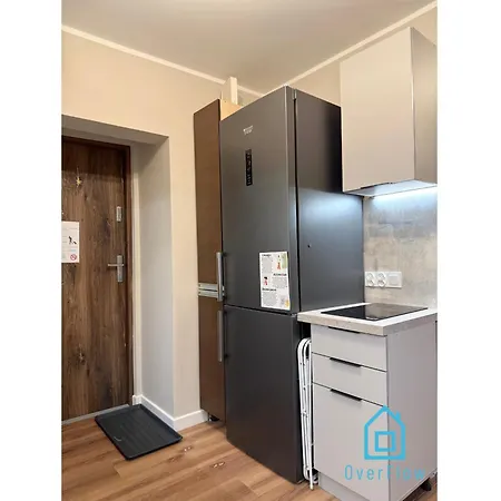 Ubytování v soukromí Lion King 10 Min To Old Town Gdansk,pkp & Shopping Mall Gdaňsk