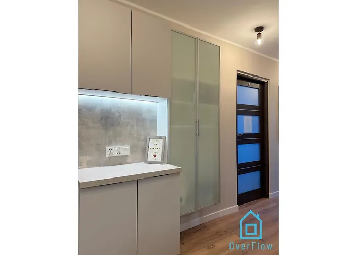 Lion King 10 Min To Old Town Gdansk,pkp & Shopping Mall